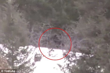 Bigfoot in Idaho