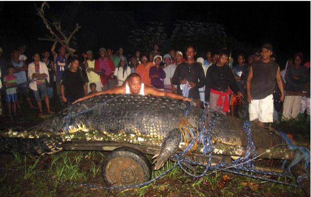 World’s Largest Crocodile in Captivity