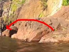 Featured Video: Crocodile leaps at tourists