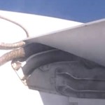 Shocking Video: Python On Plane Wing