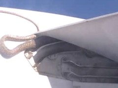 Shocking Video: Python On Plane Wing