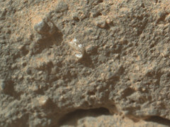 NASA’s Curiosity Rover Finds Martian ‘Flower’ and Snake-Like Rock
