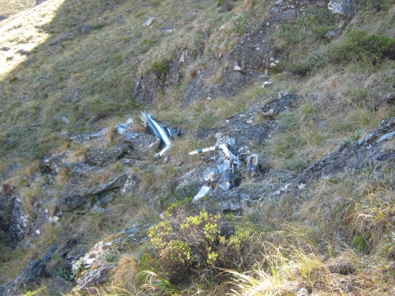 Helicopter found 8 years later after crash in New Zealand (Photo)